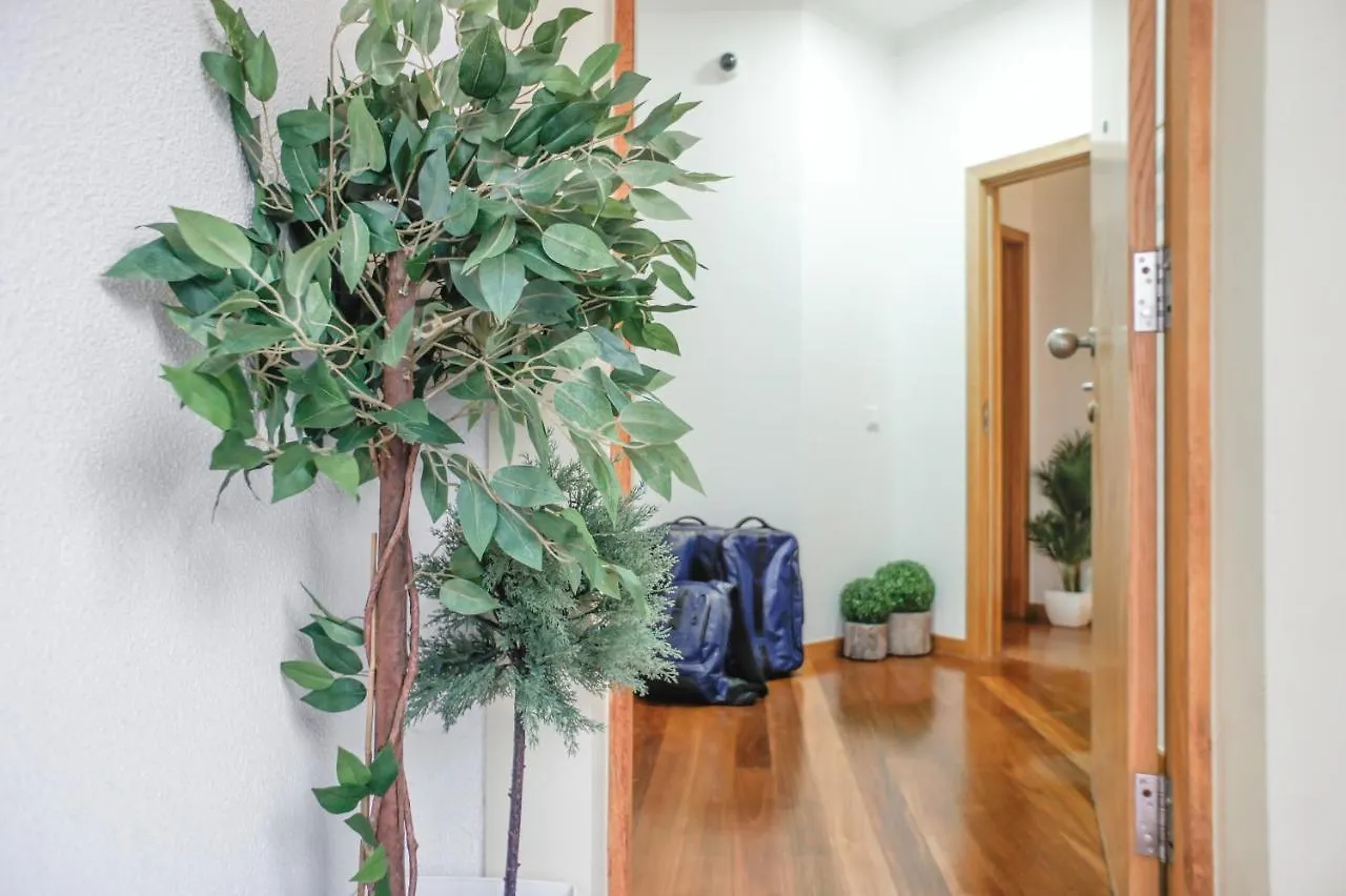 Guest house Trendy Apartments Funchal